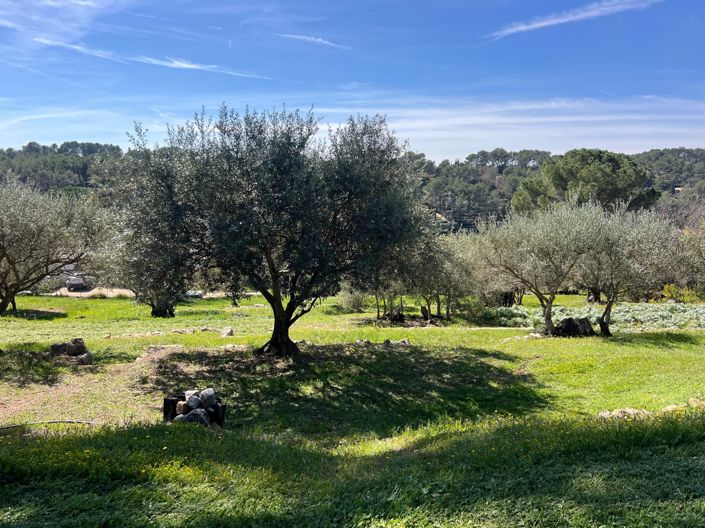 Image No.13-Maison de 3 chambres à vendre à Lorgues