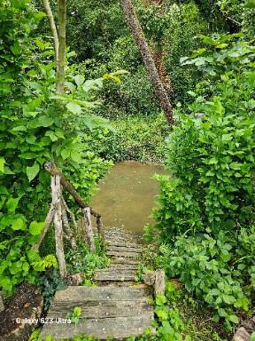 Image No.5-House for sale