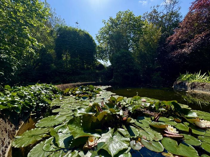 Image No.22-7 Bed House for sale