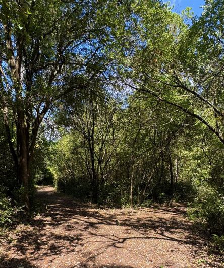 Image No.35-7 Bed House for sale