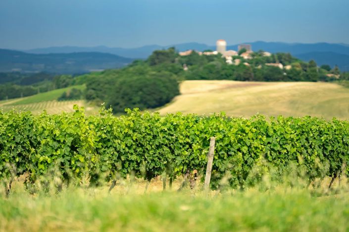 Image No.13-5 Bed House for sale