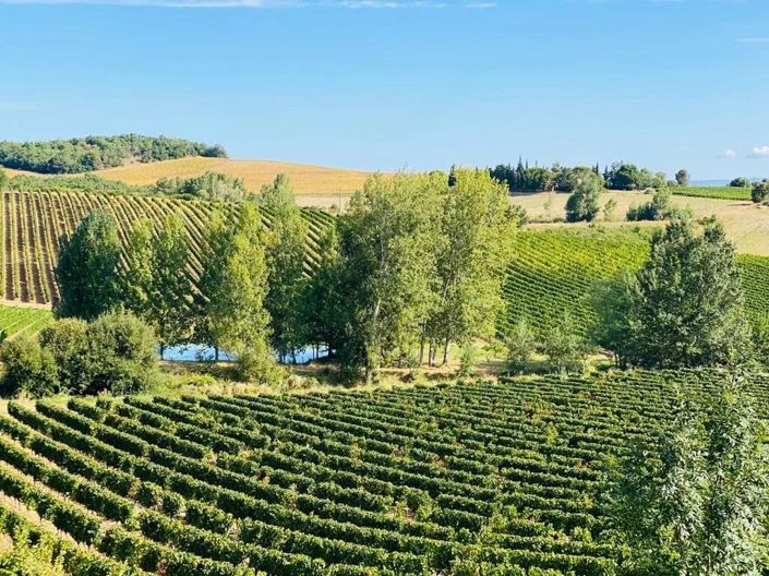 Image No.14-5 Bed House for sale