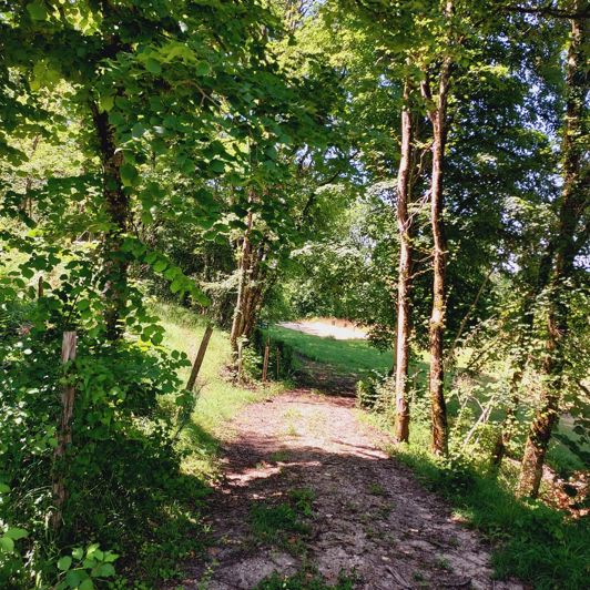 Image No.30-5 Bed House for sale