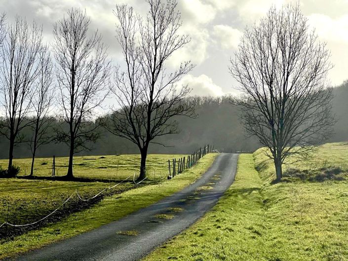 Image No.8-5 Bed House for sale