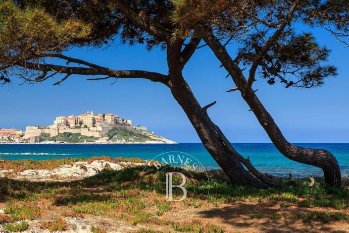 Image No.19-5 Bed House for sale