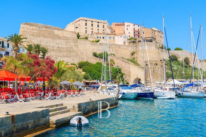 Image No.20-5 Bed House for sale