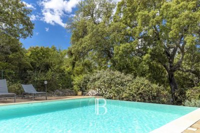 1 - Corsica, House