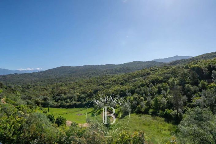 Image No.7-Maison à vendre à Pietrosella