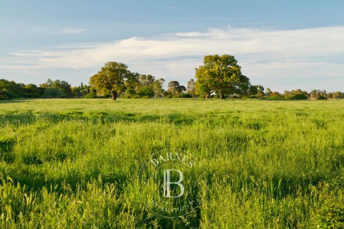 Image No.7-Propriété à vendre à Bonifacio