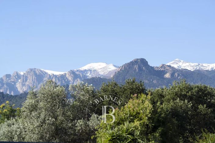 Image No.17-Maison de 4 chambres à vendre à Sari-Solenzara