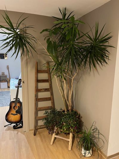 Image No.18-4 Bed House for sale