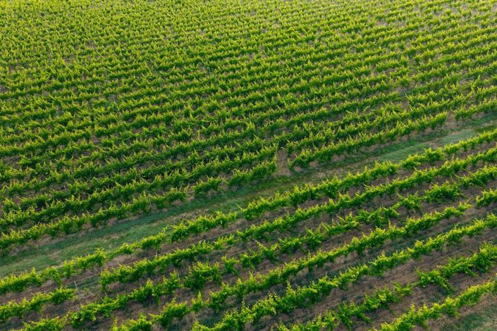 Image No.36-Propriété de 7 chambres à vendre à Carcassonne