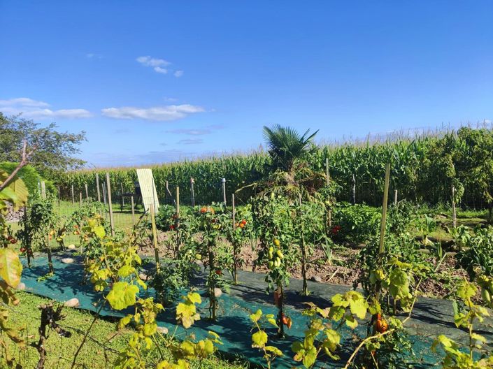 Image No.13-5 Bed House for sale