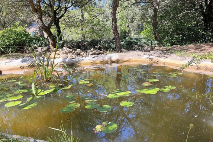 Image No.15-Maison de 3 chambres à vendre à Cotignac