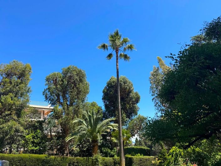 Image No.8-Appartement de 3 chambres à vendre à Cannes