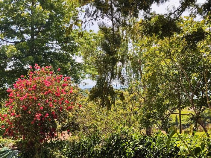 Image No.24-6 Bed House for sale