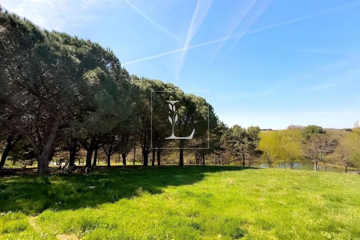 Image No.19-6 Bed House for sale