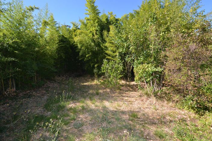 Image No.3-6 Bed House for sale