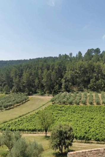 Image No.14-Maison de 5 chambres à vendre à Lorgues