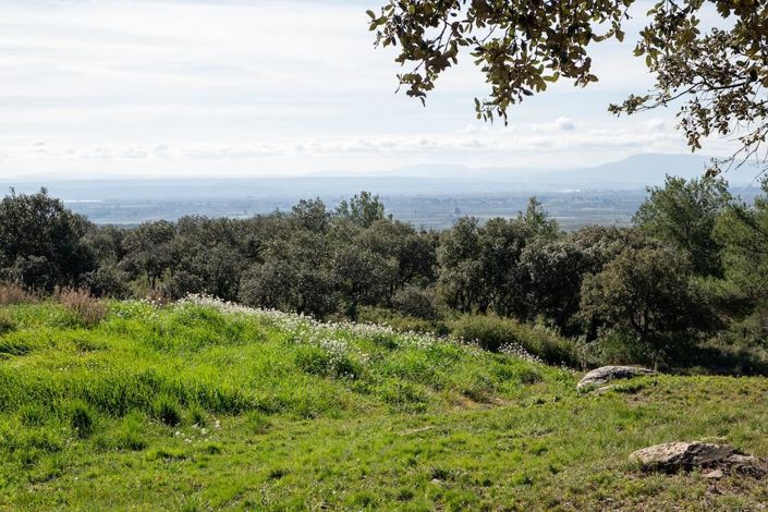 Image No.38-4 Bed House for sale