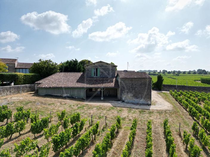 Image No.3-Maison de 4 chambres à vendre à Saint-Emilion
