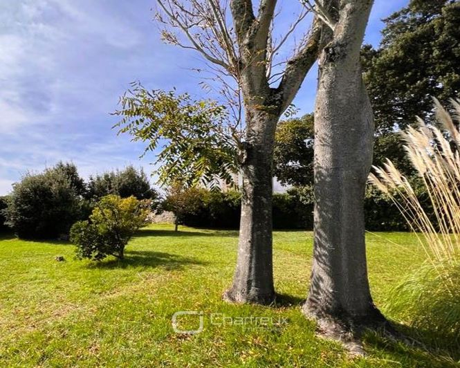 Image No.4-8 Bed House for sale