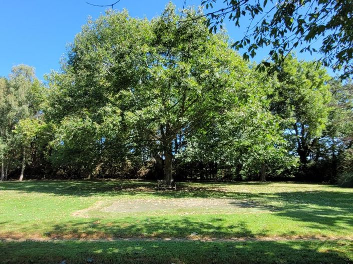 Image No.5-4 Bed House for sale