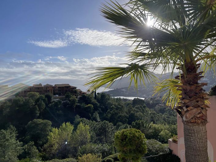 Image No.20-1 Bed Apartment for sale