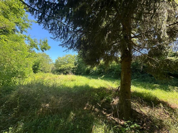 Image No.14-Maison de 4 chambres à vendre à Arcambal