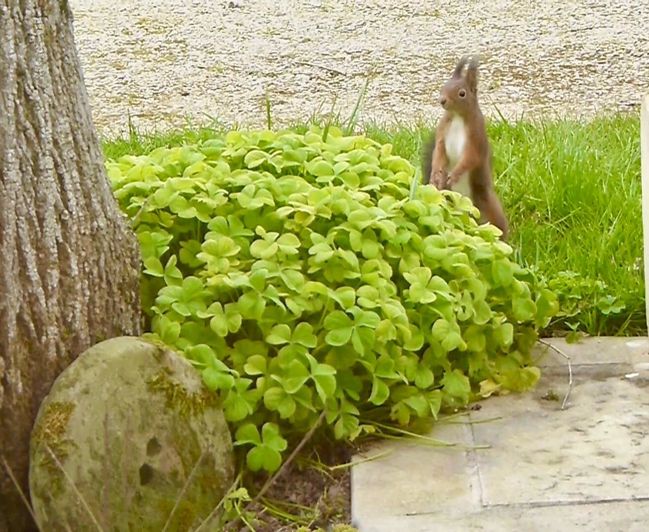 Image No.18-5 Bed House for sale