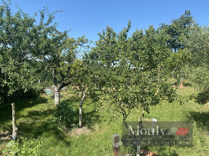 Image No.8-3 Bed House for sale