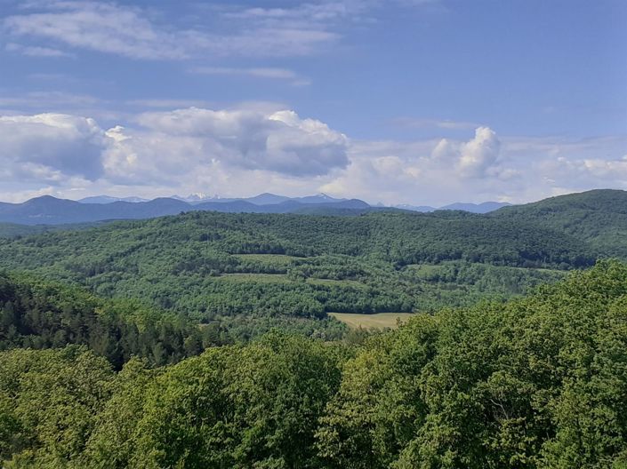 Image No.3-4 Bed House for sale