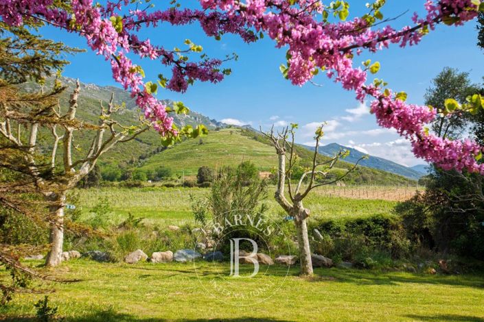 Image No.5-8 Bed House for sale