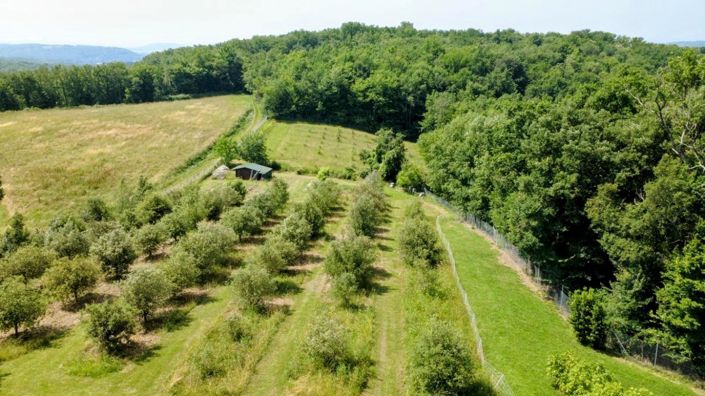 Image No.16-5 Bed House for sale