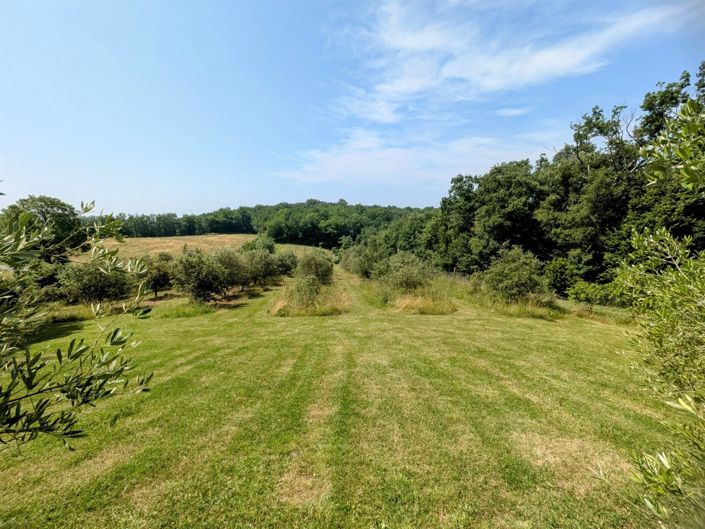 Image No.17-Maison de 5 chambres à vendre à Villecomtal-sur-Arros