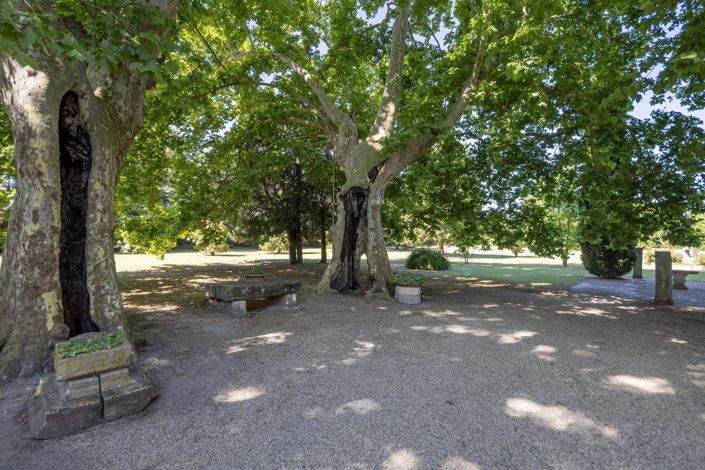Image No.8-Maison de 10 chambres à vendre à Saint-Remy-de-Provence