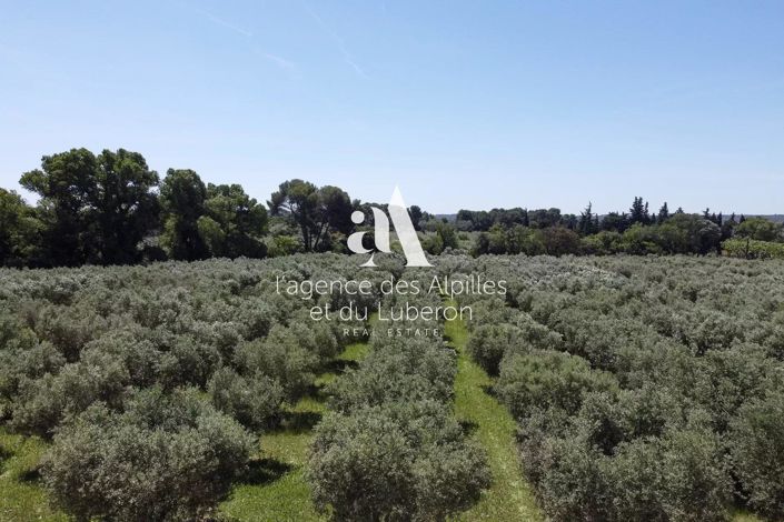 Image No.3-Maison de 9 chambres à vendre à Maussane-les-Alpilles
