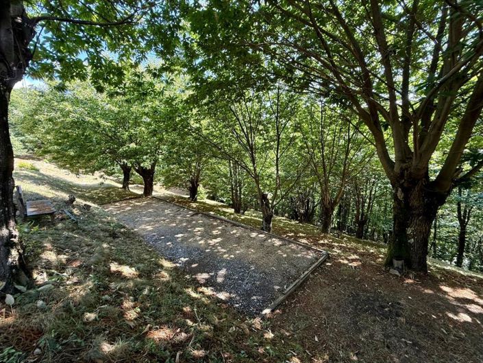 Image No.27-5 Bed House for sale