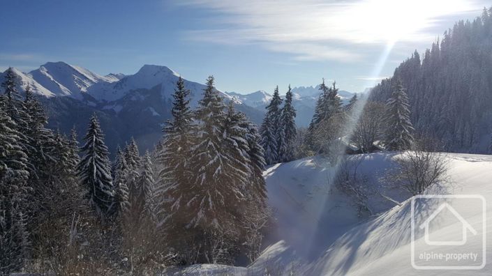 Image No.38-Propriété de 4 chambres à vendre à Saint-Jean-d'Aulps