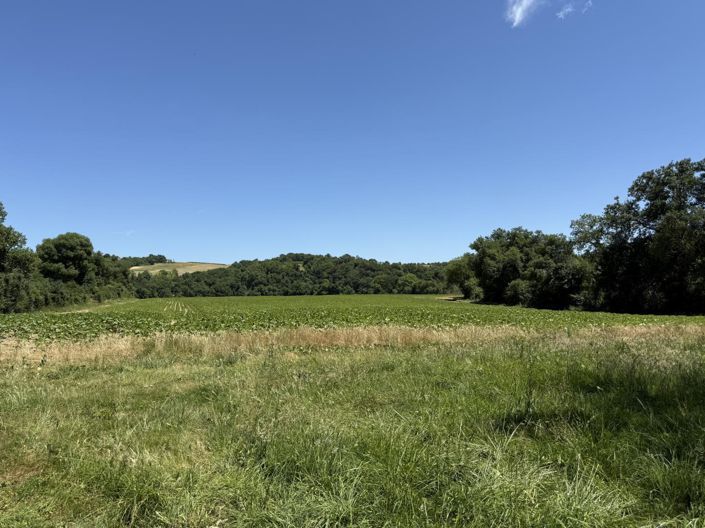 Image No.13-Maison de 4 chambres à vendre à Gondrin