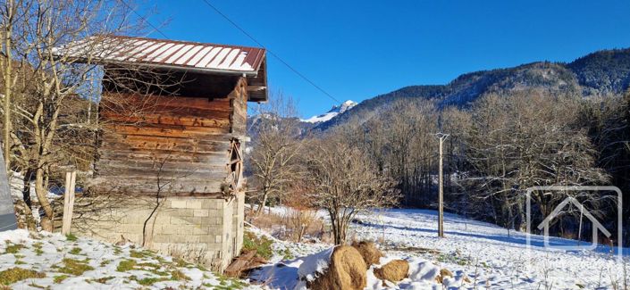 Image No.12-Maison à vendre à Lullin