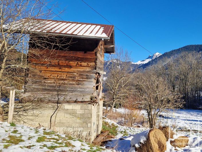 Image No.2-Maison à vendre à Lullin