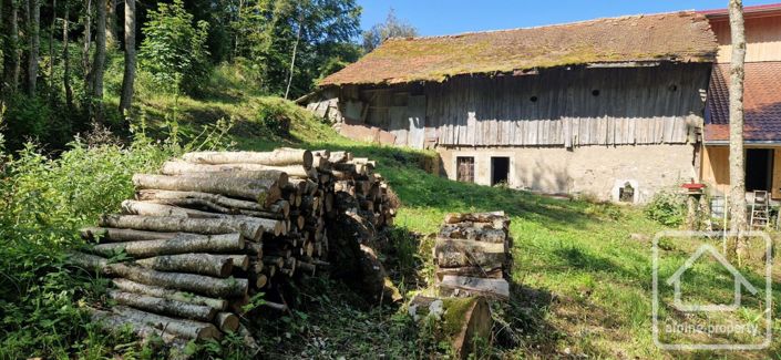 Image No.16-Maison à vendre à Orcier