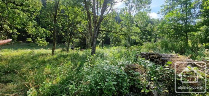 Image No.5-Maison à vendre à Orcier