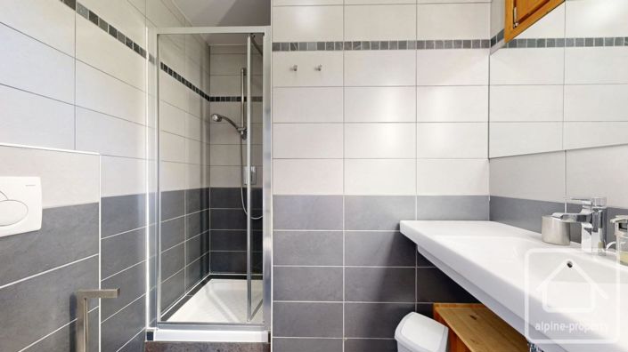 Image No.22-Propriété de 7 chambres à vendre à Montriond