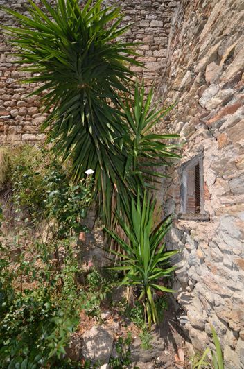 Image No.7-Maison de 3 chambres à vendre à Caunes-Minervois