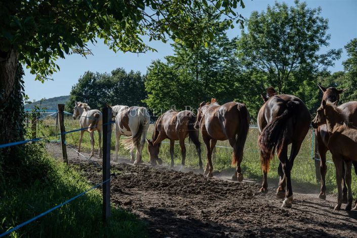 Image No.28-Maison de 17 chambres à vendre à Saint-Lizier