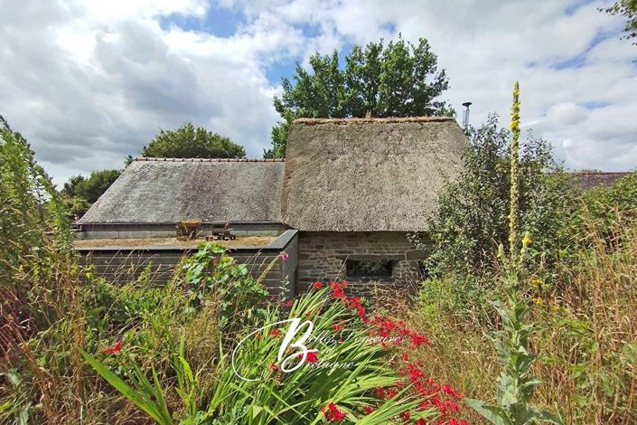 Image No.17-4 Bed House for sale