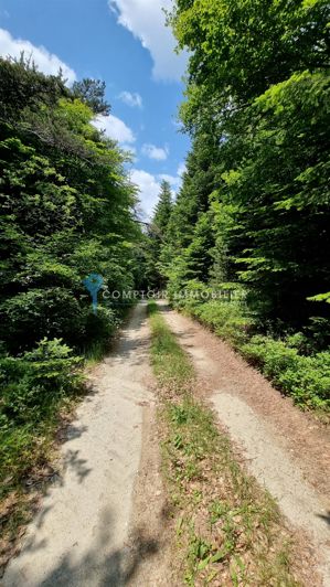 Image No.20-Maison de 6 chambres à vendre à Coucouron