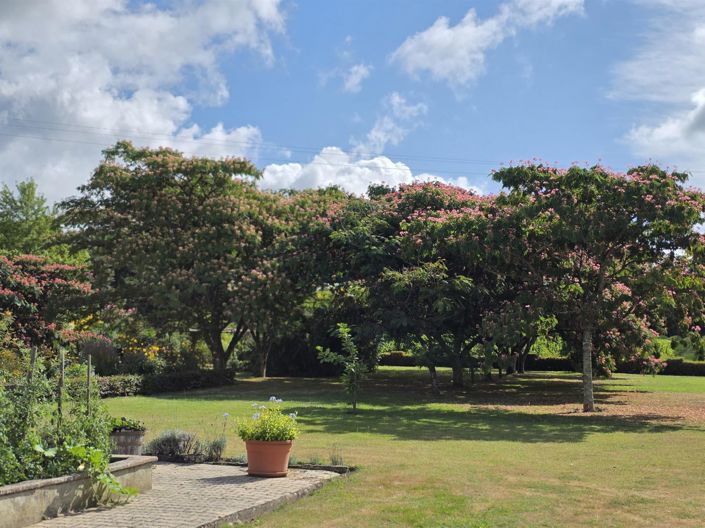 Image No.17-Maison de 9 chambres à vendre à Créon-d'Armagnac